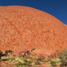 Uluru: Schlafendes Schuppentier in der australischen Wüste