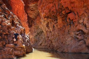 Roter Felsen, ein Wasserloch und ich